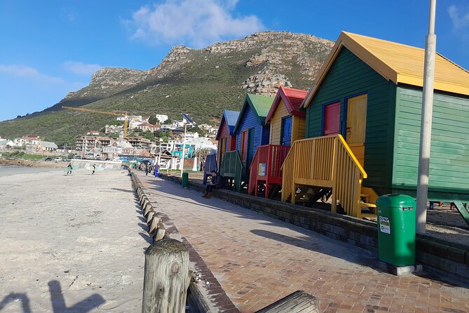 Table Mountain Cape Point Penguin Groot Constantia Private Tour - Camps Bay to Chapman’s Peak: The Photo Stops That Actually Make Sense