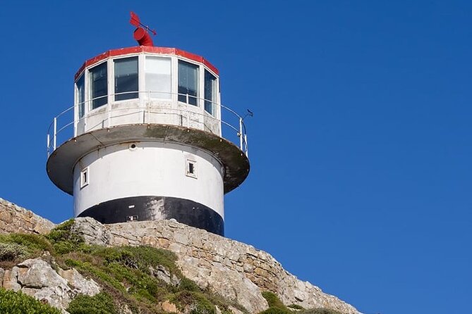 Table Mountain Cape Point Penguin Groot Constantia Private Tour - Boulders Beach Penguins: Easy Walks, Boardwalk Viewing, and Swim Time