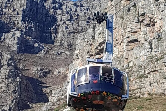 Table Mountain Cape Point Penguin Groot Constantia Private Tour - Cape of Good Hope and Cape Point: Beacons, Currents, and a Choose-Your-Comfort Option