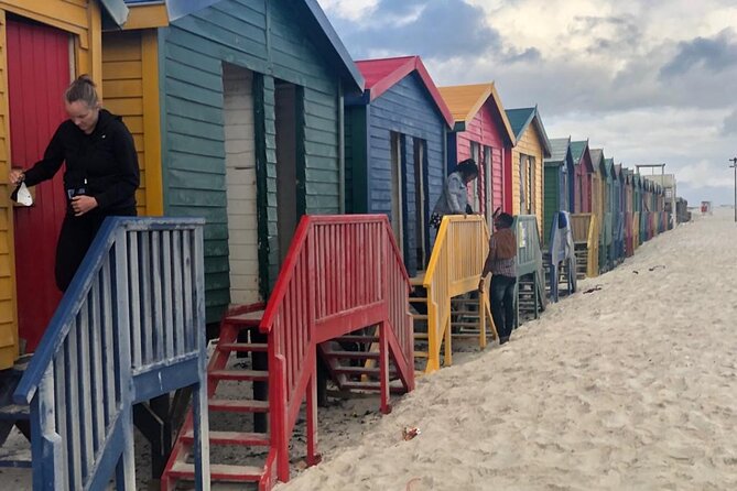 Table Mountain,Cape Point & Penguins Shared Tour, From Cape Town - Noordhoek, Scarborough, and the Ostrich Farm Quick Peek