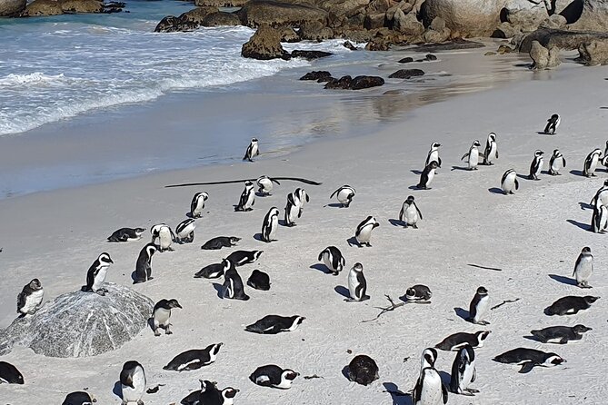 Table Mountain,Cape Point & Penguins Shared Tour, From Cape Town - Cape of Good Hope: The Current Story Behind the Name