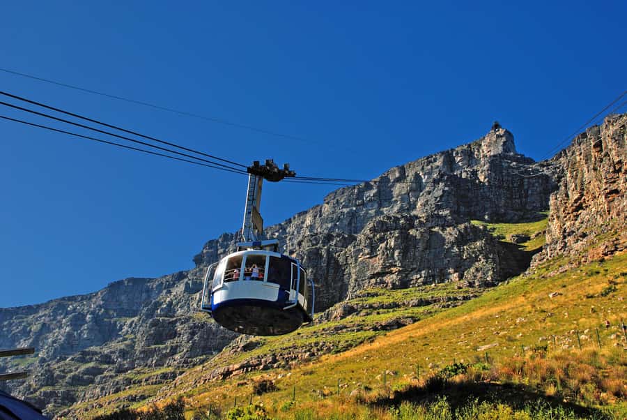 Table Mountain & Cape Town City Half Day Guided Tour - How the 5-Hour Route Keeps Cape Town in Reach