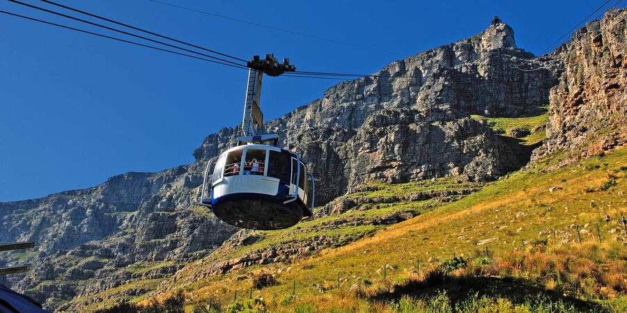 Table Mountain & Cape Town City Half Day Guided Tour - District Six Museum and Company Gardens: Learning Through What Was Taken