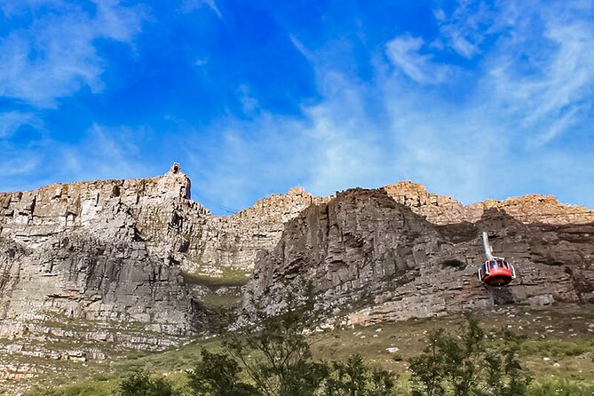 Table Mountain, Chapmans Peak Drive, Cape Point & Penguins - Table Mountain funicular ride, summit views, and guided walks