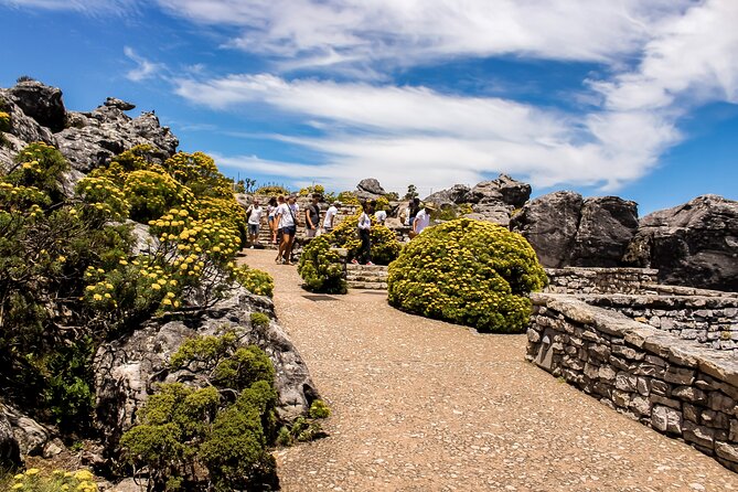 Table Mountain, Chapmans Peak Drive, Cape Point & Penguins - Cape Point and the Cape of Good Hope: birds, penguins, and Bontebok