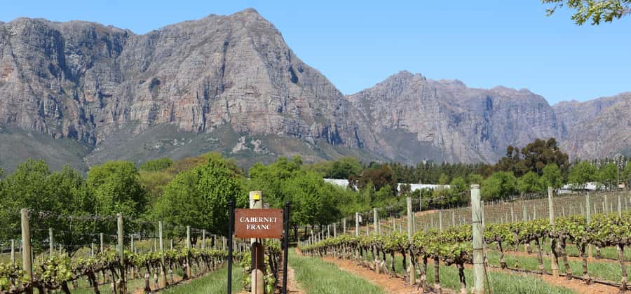 Table Mountain & Constantia Wine Estate Private Combo Tour - Table Mountain and Constantia in one private 8-hour day
