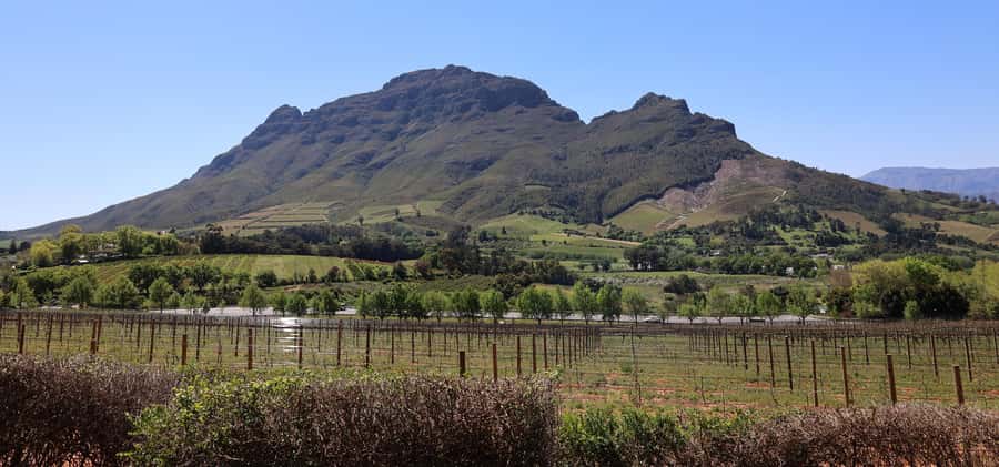 Table Mountain & Constantia Wine Estate Private Combo Tour - Beau Constantia: Chef’s Warehouse or Laparada, with lunch as an option