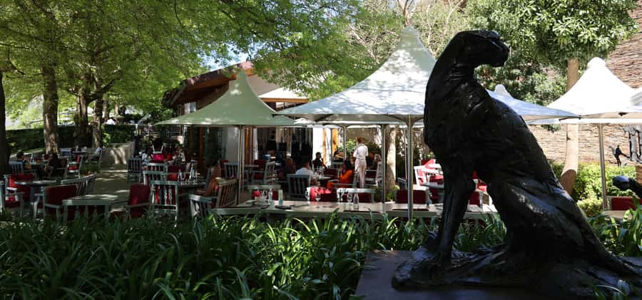 Table Mountain & Constantia Wine Estate Private Combo Tour - Pickup, pacing, and where the day starts to feel easy
