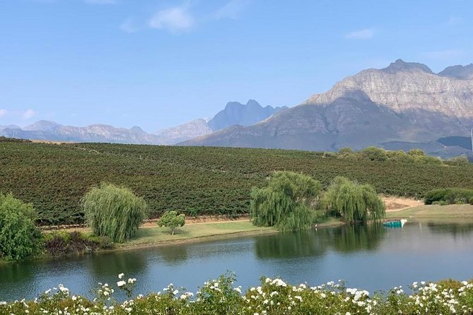 Table Mountain & Constantia Wine Tasting Full Day Tour. - Stop 3, Klein Constantia: False Bay views, cooler breezes, and white-forward wines