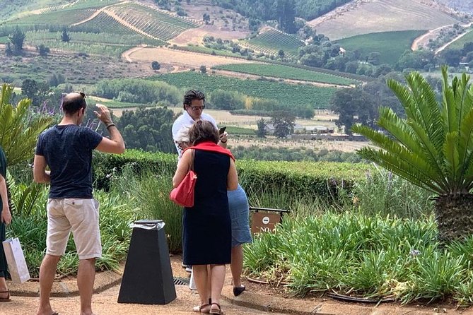 Table Mountain & Constantia Wine Tasting Full Day Tour. - Price and value: what $225.04 covers, and what you should budget for