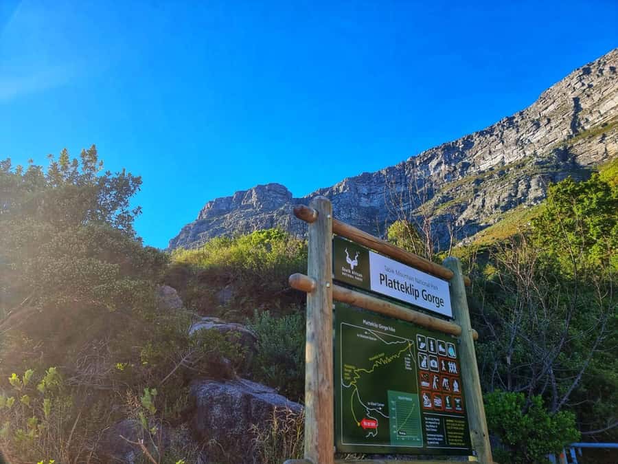 Table Mountain Group Hike - Solo Travelers welcome - Key things to know before you go