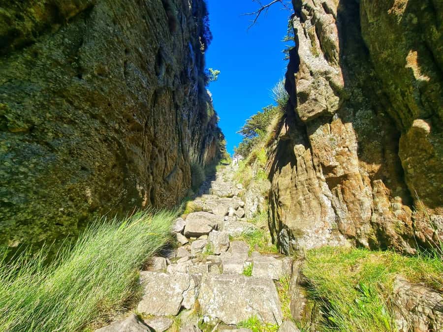 Table Mountain Group Hike - Solo Travelers welcome - The guided climb: 2.5 hours of moderate effort, route help included