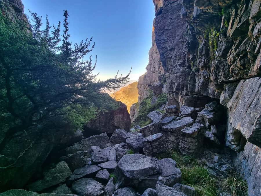 Table Mountain Group Hike - Solo Travelers welcome - Price and value: what $46 buys you, and what it does not