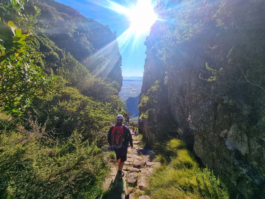 Table Mountain Group Hike - Solo Travelers welcome - Getting started at Tafelberg Road, and how not to miss the group