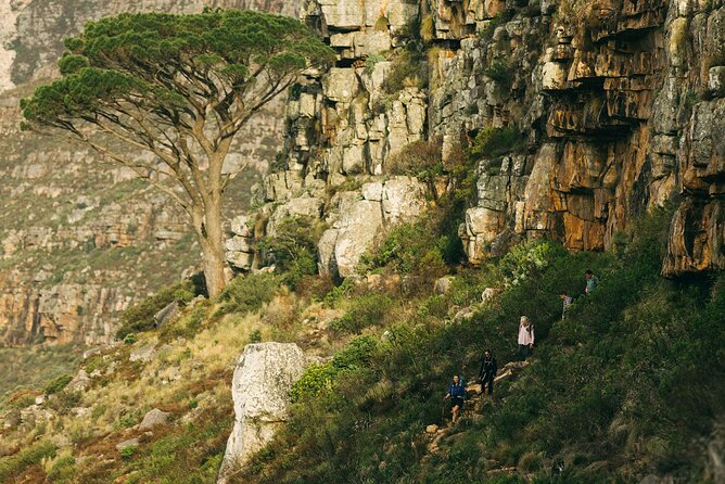 Table Mountain Guided Hike-epic adventure for all fitness levels - Greenpop Tree Planting and Responsible Tourism Extras