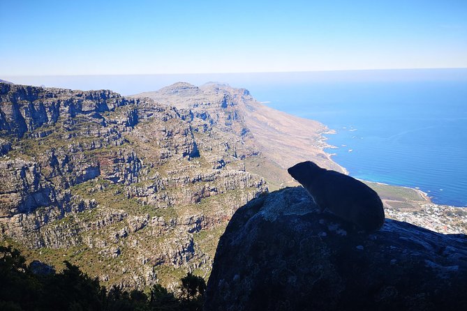 Table Mountain Half Day Hike: India Venster Trail - Getting the right fitness level for India Venster