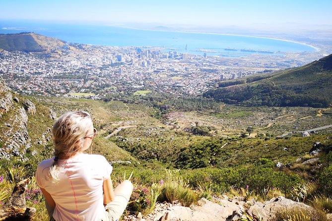 Table Mountain Half Day Hike: Platteklip Gorge - Price and Value: What $95.24 Buys You