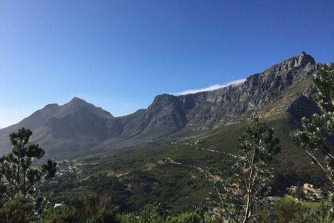 Table Mountain Hike (All routes) - Private Tour - Why a private Table Mountain hike feels easier than doing it solo
