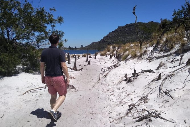 Table Mountain Hike (All routes) - Private Tour - Kirstenbosch and Skeleton Gorge: a route that layers views with time to enjoy them