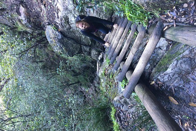 Table Mountain Hike (All routes) - Private Tour - Picnic lunch and snacks: small comfort that makes a big difference