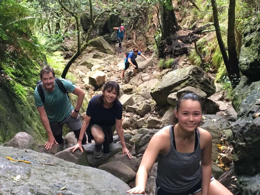 Table Mountain Hike with Local Tour Guide - Timing, pickup, and how long to plan for on mountain days