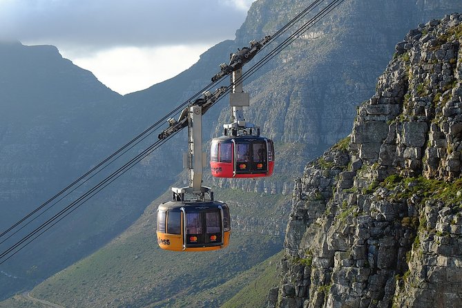 Table Mountain, Kirstenbosch and Constantia Winelands Full Day Private Tour - Price and value: what $109.20 really covers