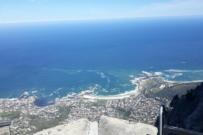 Table Mountain, penguin and Cape of good hope Fees included - Price and logistics: what $146 really buys