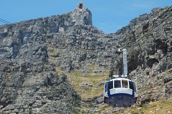 Table Mountain, Penguin,Cape Point Private Day Tour in Cape Town - Key highlights that make this day work