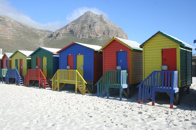 Table Mountain, Penguin,Cape Point Private Day Tour in Cape Town - Noordhoek Farm Village: the calmer coastal side