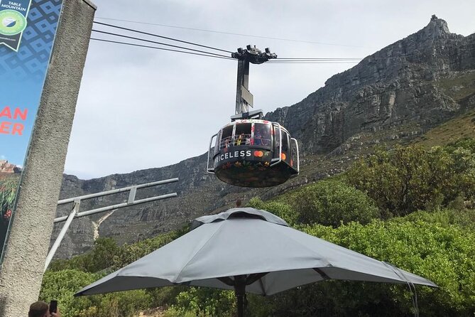 Table Mountain, Penguins and Cape Point Sharing GroupTour - Table Mountain by Cable Car, Plus the Weather Plan That Saves Your Day