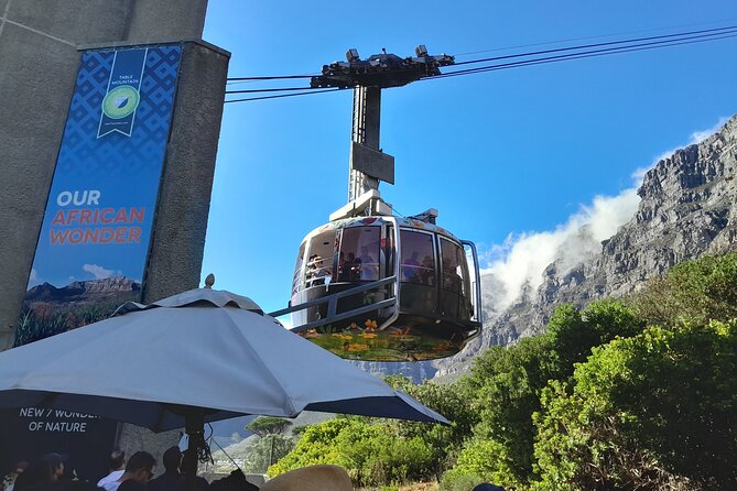 Table Mountain, Penguins, Cape of Good Hope: Private Tour - Key highlights I’d plan around