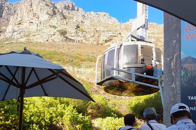 Table Mountain, Penguins, Cape of Good Hope: Private Tour - Hout Bay lookout, harbor chances, and Seal Island possibilities