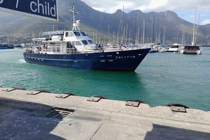 Table Mountain, Penguins, Cape of Good Hope: Private Tour - Noordhoek Farm Village and a quick reset at Long Beach