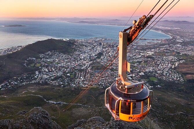 Table Mountain, Penguins & Cape of Good Hope Small Group Tour - Key Highlights You’ll Care About
