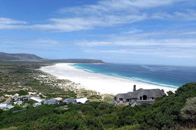 Table Mountain, Penguins & Cape of Good Hope Small Group Tour - Chapmans Peak Drive: The Cliffside Road Stop That Everyone Remembers
