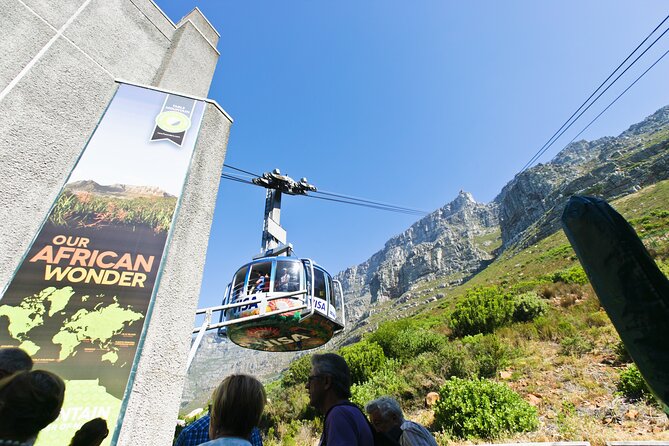 Table Mountain, Penguins & Cape Point Small Group Tour Cape Town - Price and what you really get for $62.55 per person