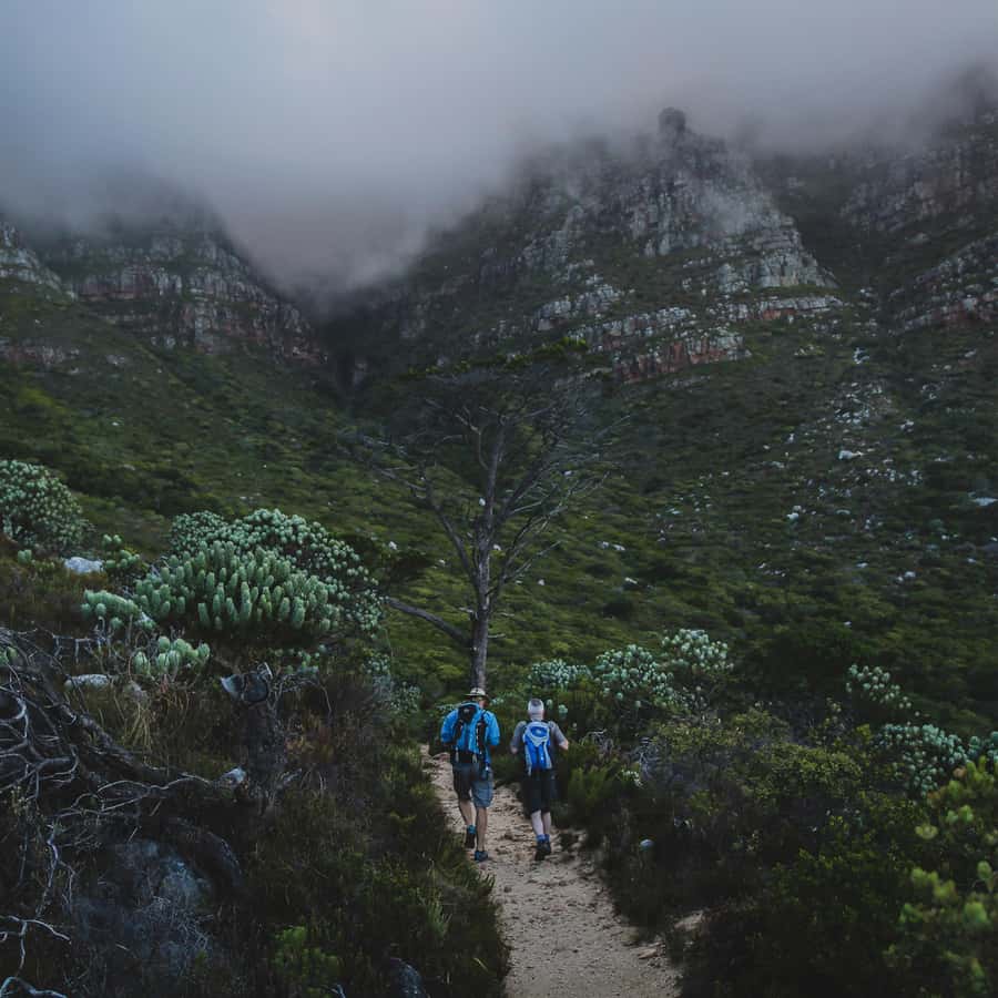 Table Mountain: Skeleton Gorge Hike - Key Points to Know Before You Hike Skeleton Gorge