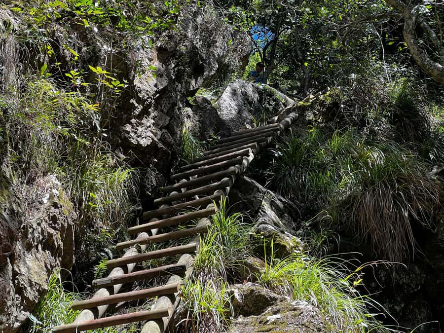 Table Mountain: Skeleton Gorge Hike - Hely-Hutchinson Reservoir: The Swim Break That Makes the Effort Worth It