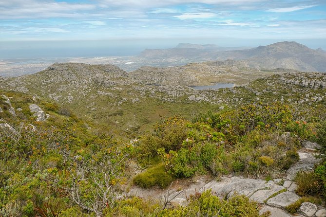 Table Mountain Summit Hike via Kasteelspoort - What your guide actually adds (and why it changes the day)
