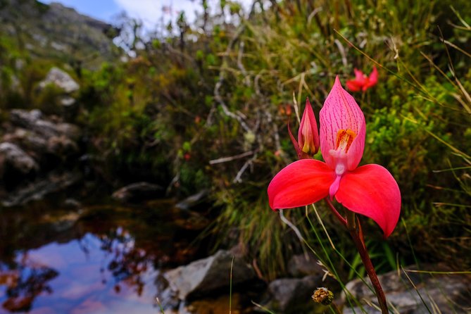 Table Mountain Summit Hike via Kasteelspoort - Gear, snacks, and water for a 5.5 hour Table Mountain hike