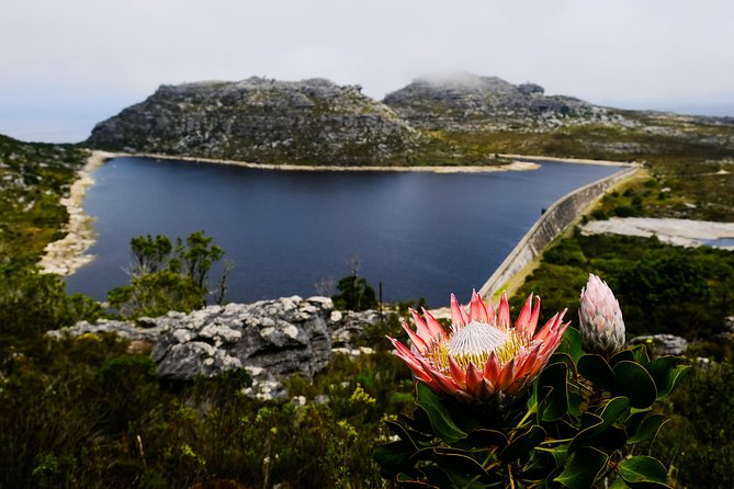 Table Mountain Summit Hike via Kasteelspoort - Kasteelspoort to the Back Table: the climb with meaning