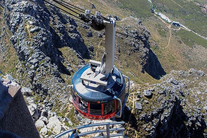 Table Mountain Tour - Table Mountain from the inside: why a guided summit walk beats going solo