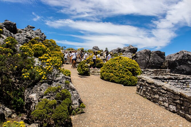 Table Mountain Tour - The guide up top: flora, fauna, and making sense of the views