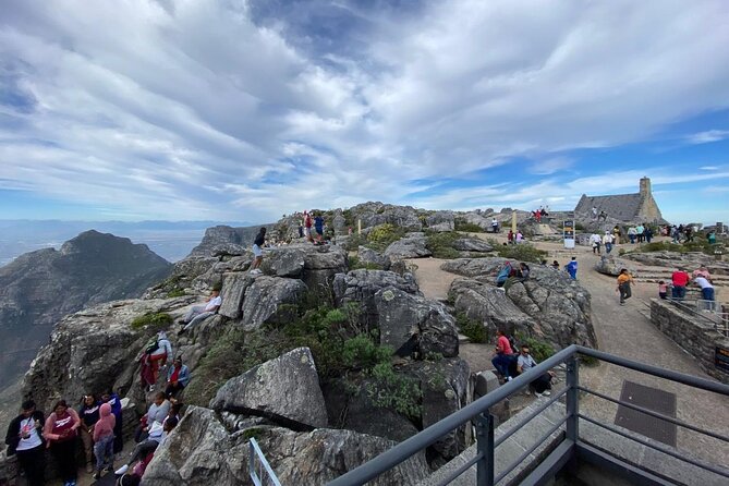 Table Mountain Tour including Pick Up & Drop Off from Cape Town - What You Do at the Summit: Views, Plants, and the Tiny Wildlife Moment
