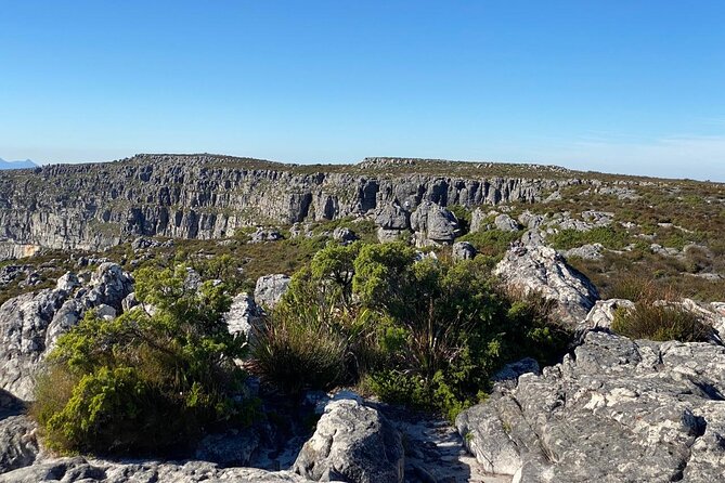 Table Mountain Tour including Pick Up & Drop Off from Cape Town - Pickup, Private Group Timing, and the Realities of Drop-Off