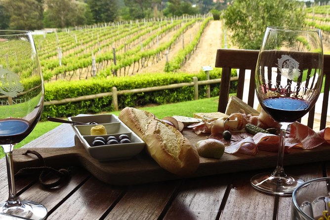 Table Mountain-Wines-Penguins-Cape Point All Inclusive Group Tour - Cape Point Vineyards tasting: what’s included and a holiday reality check