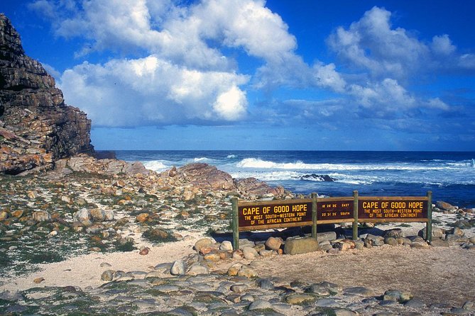 Table Mountain-Wines-Penguins-Cape Point All Inclusive Group Tour - Cape of Good Hope and Cape Point: guided crosses, iconic photos, and the lighthouse choice