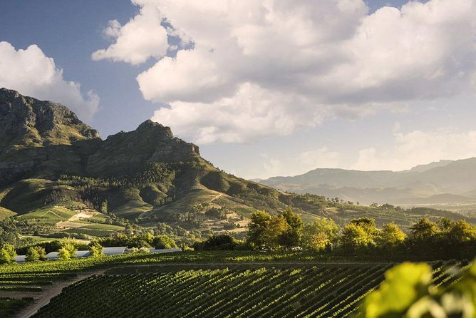 Taste + Tram the Winelands Tour: Franschhoek, Stellenbosch, Paarl - Franschhoek free time, lunch on your terms