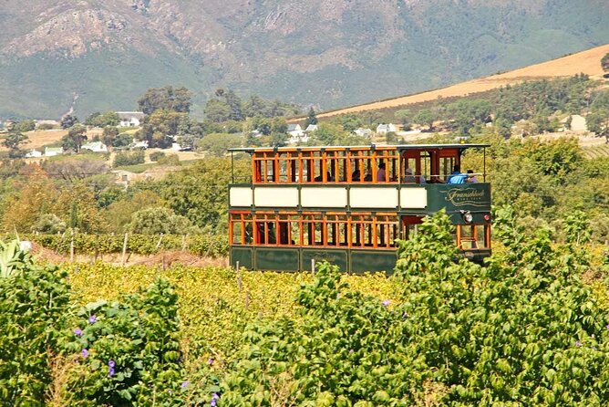 Taste + Tram the Winelands Tour: Franschhoek, Stellenbosch, Paarl - Price and value, what $189.79 is really buying