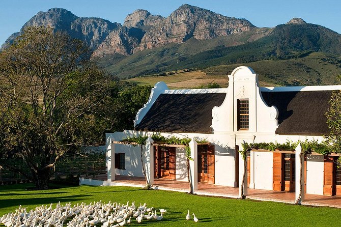 Tastes of Stellenbosch Wine Full Day Tour with Private Transfer - Key things to know before you go
